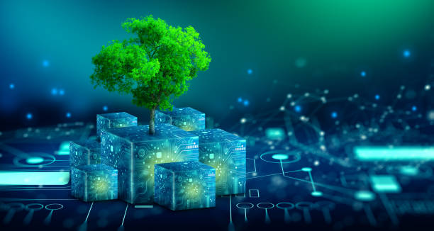 Sustainable Tech: Green Computing Practices for Modern Businesses